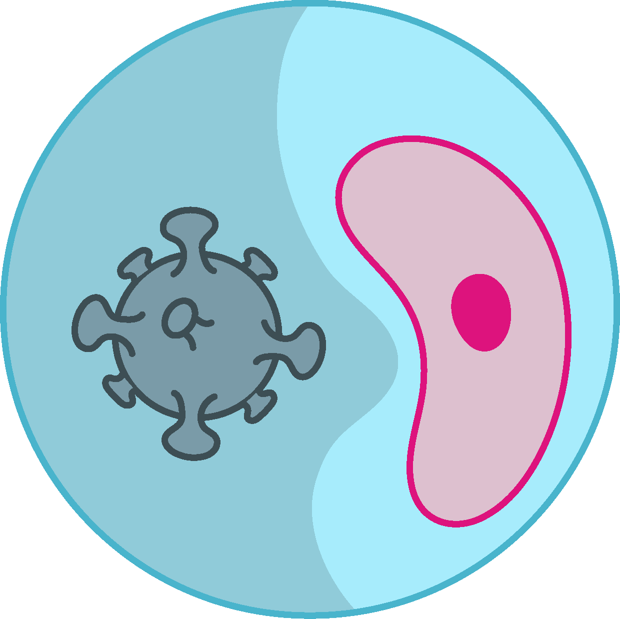 CD-CODE infectious condensates logo