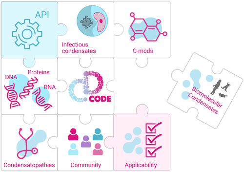 CD-CODE conceptual image